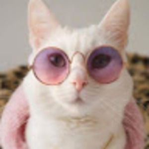 Meet your Posher, Ashlee